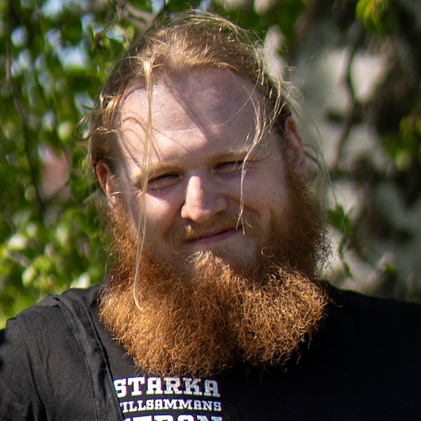 Styrelsen